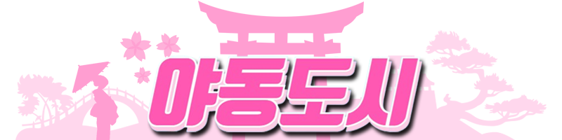 야동도시